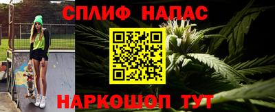 гашик Бузулук
