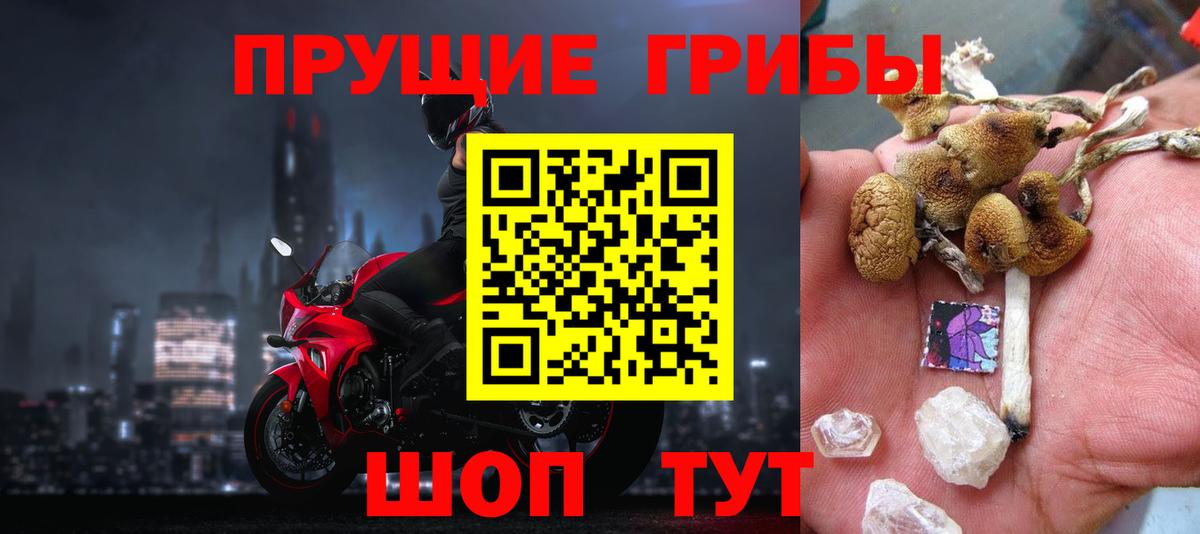 Галлюциногенные грибы Psilocybine cubensis Шатура